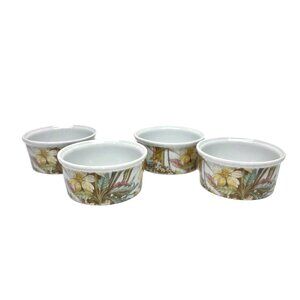Discontinued Pillivuyt Virginie Ramekins Set x4 Molling France Lot Yellow Flower